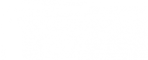 Emergência Política Mulheres